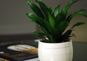 centerpiecevases-7