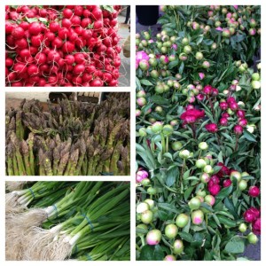 Spring Bounty at the Union Square Greenmarket